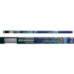 Actinic Coralstar Floresan Lamba 30 W
