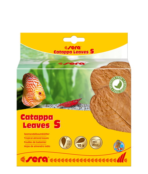 300-32273_83d5a8b349dedf718e98ed7418bcd64e Sera Catappa Yaprağı S 14 cm (10 Adet) - Görsel 1