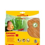 Sera Catappa Yaprağı M 18 cm (10 Adet)