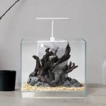 Jeneca ZJ-40 Akvaryum+Dekor 40x30x30 cm (36L) - Görsel 2