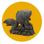 Laguna Gold Fish