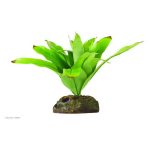 Exo Terra Bitki Small Neoregelia Tarapotoensis