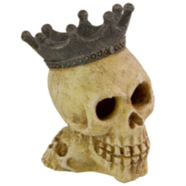 Kral Kuru Kafa Dekor 7.2x5.8x8.2 cm