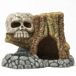 Kuru Kafalı Kütük 17.7x13.8x11.8 cm