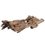 Natural Dragon Wood 15-50cm 9-10kg Koli - Görsel 2